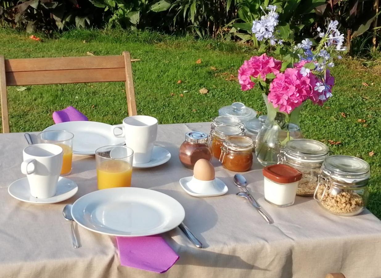 Domaine De La Castagnere Bed & Breakfast Castetnau-Camblong Eksteriør bilde